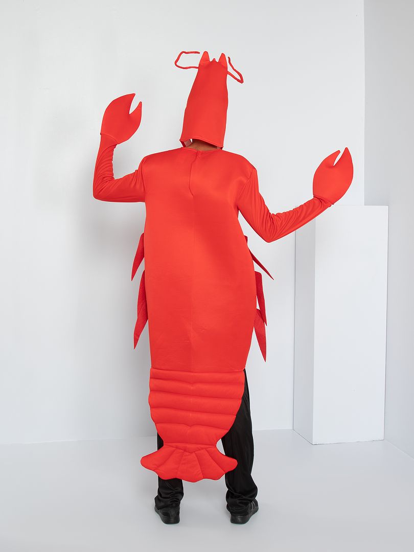 Las mejores 30 ideas de Disfraz de cangrejo